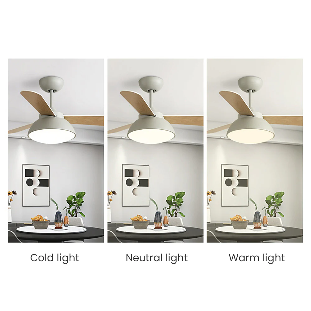 Modern Simple Flush Ceiling Fan With LED Lighting - Image 16