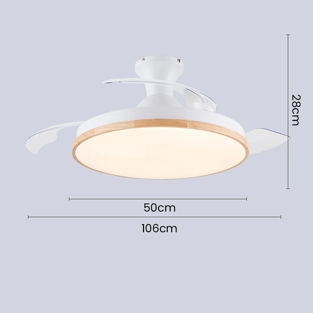 Simple Low Profile Ceiling Fan With LED Light - Image 20